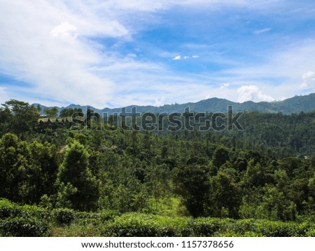 Top of little Adam's Peak overlooking thatched houses , Ella - Sri Lanka 