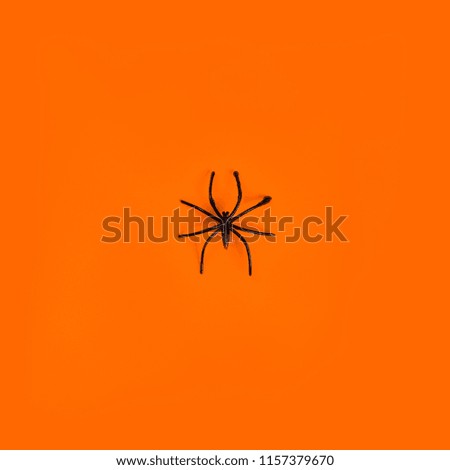 black spider on an orange background. Happy Halloween!