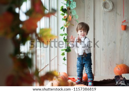 Stilish little boy in autumn backgraund. Cute little kid having enjoying countryside. autumn themes