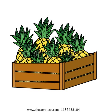 color delicious pineapples fruits inside wood basket