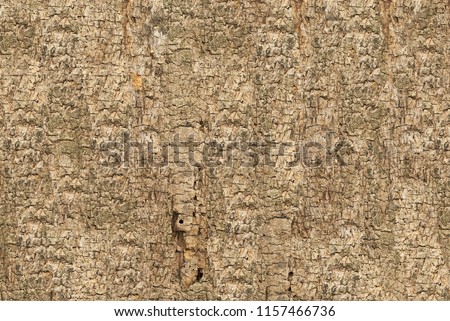 Embossed texture of the bark. Panoramic photo texture.
