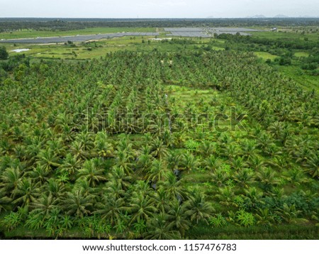 Aerial photos Of coconut, plantation, agriculture
Solar Farm.
