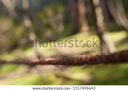A rope is leading the viewer into the picture of a garden with grass and trees. The short focal length creates an abstract picture with a lot of bokeh and smooth surfaces with a distinct focus point
