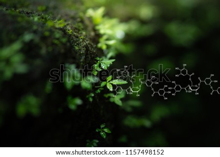 Plants background with biochemistry structure. Shallow DOF. Copy space using as background or input any text as you wish. Natural and science concept.