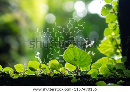 Plants background with biochemistry structure. Copy space using as background or input any text as you wish. Natural and science concept. Royalty-Free Stock Photo #1157498155