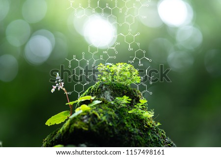 Plants background with biochemistry structure. Copy space using as background or input any text as you wish. Natural and science concept. Royalty-Free Stock Photo #1157498161
