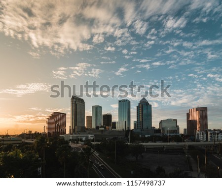 Tampa Bay Skyline 