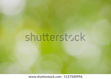 Green background bokeh  under sunlight concept design wallpaper lanecape with copy space add text.