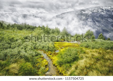 Norway, Scandinavia, natural beauty, awesome scenery in mountains, much of green plants and foggy misty weather. Hardangervidda national park of Norway. Landscape photography. 