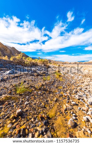 View of Death Valley, California, USA. Copy space for text. Vertical                                        