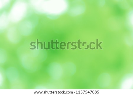 Blurred green bokeh texture background