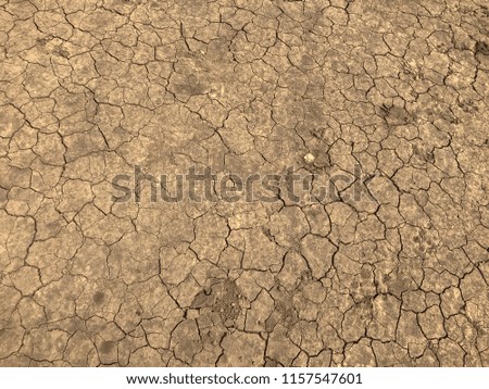 yellow crack dry dirt background texture and tire