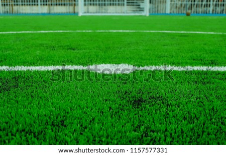 White stripe on the green grass soccer or football field.Selective focus