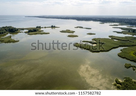 Swampy lake, aerial photography, on a summer day, background image
