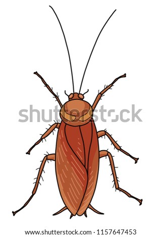 Cockroach illustration, doodle, cartoon, drawing, ink, line art, vector