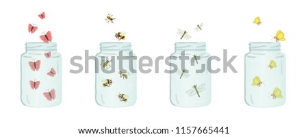 Vector illustration of glass jars with insects inside isolated on white background. Cute summer illustration. Save the moment. Moth, butterfly, bumblebee, ladybug, dragonfly picture