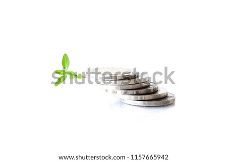 Plants Growing In Savings Coins/ investment and retirement or education Concept