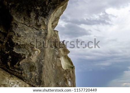 Beautiful picture of little bird in the ancient cave city Uplistsikhe, Georgia.