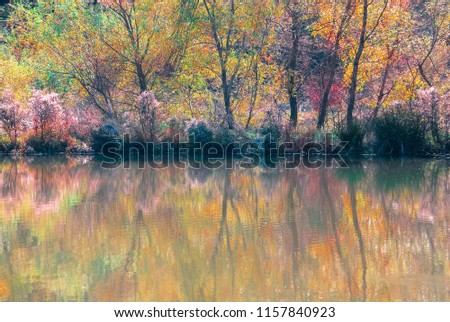  autumn trees with their reflection in water.