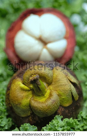 Close-up shot of Mangosteen Fruit Cross Section showing both green stem, purple outside skin and white flesh inside over a green kale leafy background