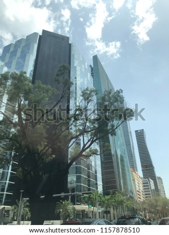 Miami business building constructions. Glass windows, nature, threes, traffic.