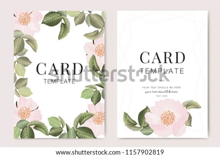 Wedding Invitation, floral invite thank you, rsvp modern card Design in pink rose with leaf branches decorative Vector elegant rustic template