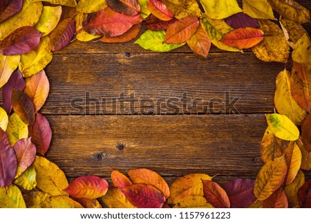 Autumn leaves over wooden background. Space for text