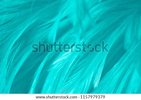 Beautiful dark green turquoise vintage color trends feather pattern texture background