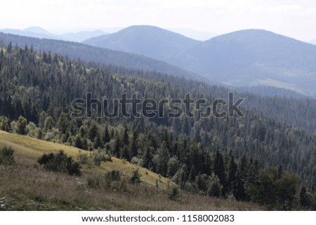 mountains and forest, a beautiful picture for the background, an excellent view from the height, the combination of forests and mountains
