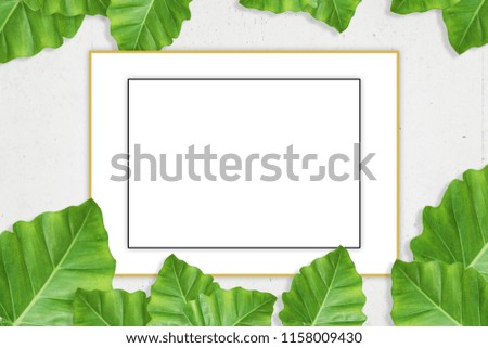 template with tropical leaves frame on white background