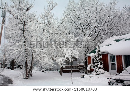 The winter in Orillia. Canada.