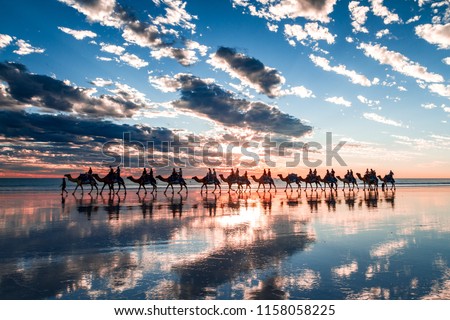 Cable Beach, Western Australia. A very unique sunset featuring the famous camel train and reflections from the extreme low tide. Royalty-Free Stock Photo #1158058225