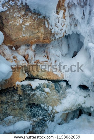 nature, Malye Korely, winter, wood background, texture north