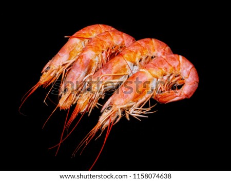 Giant tiger fresh prawns in a wooden box. Orange shrimp in a carabiner are on a black background.