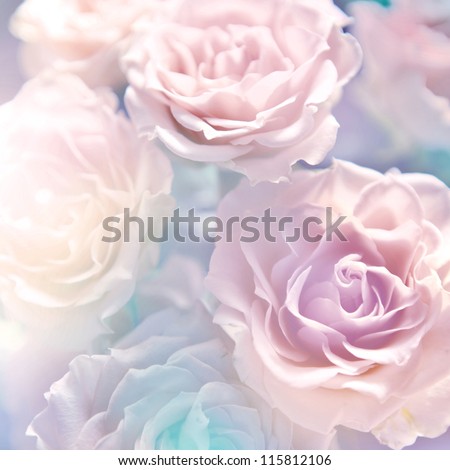 beautiful flowers made with color filters Royalty-Free Stock Photo #115812106