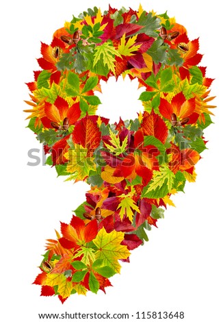 number 9 made from autumn leaves, isolated on white