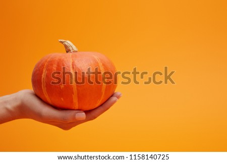 close-up partial view of woman holding ripe fresh pumpkin on orange 