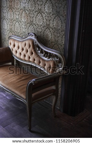 Vintage retro chair. yellow classical soft sofa in vintage room.
Luxurious classical room