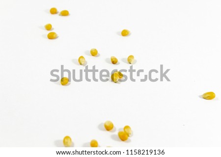 Spreaded corn seeds on white background with open light
