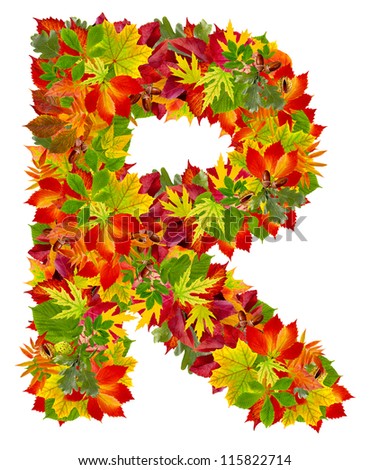 R, autumn alphabet isolated on white