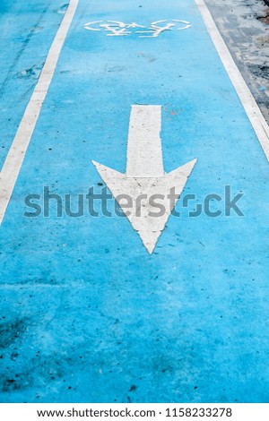 
Blue bicycle lane on the road with arrows sign in public park.