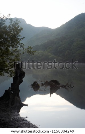 Beautiful reservoir surrounded trees and mountain in Korea