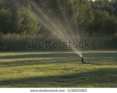Lawn sprinkler spaying water over green grass. Irrigation system. Blured movement