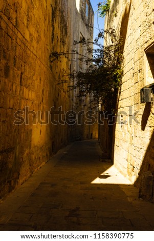 Beautiful view of ancient narrow medieval street town Mdina, Malta.
Ancient village of Mdina, Malta in a sunny summer day.

