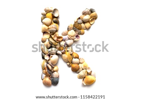 Alphabet of seashells on a white background. Letter K. Designer font