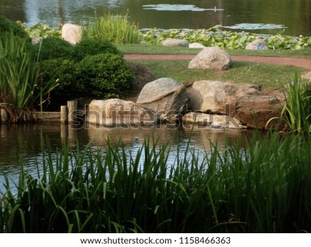 GRASS,BOULDERS, AND WATER