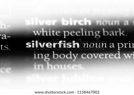 silverfish word in a dictionary. silverfish concept.