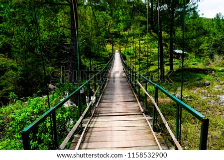 suspension bridge located on the edge of the forest