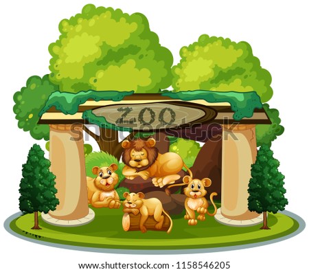 A family of lion in the zoo illustration