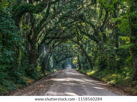 Oak Tree Tunnel Dirt Road to Botany Bay Plantation in Editso Island South Carolina SC near Charleston. Royalty-Free Stock Photo #1158560284